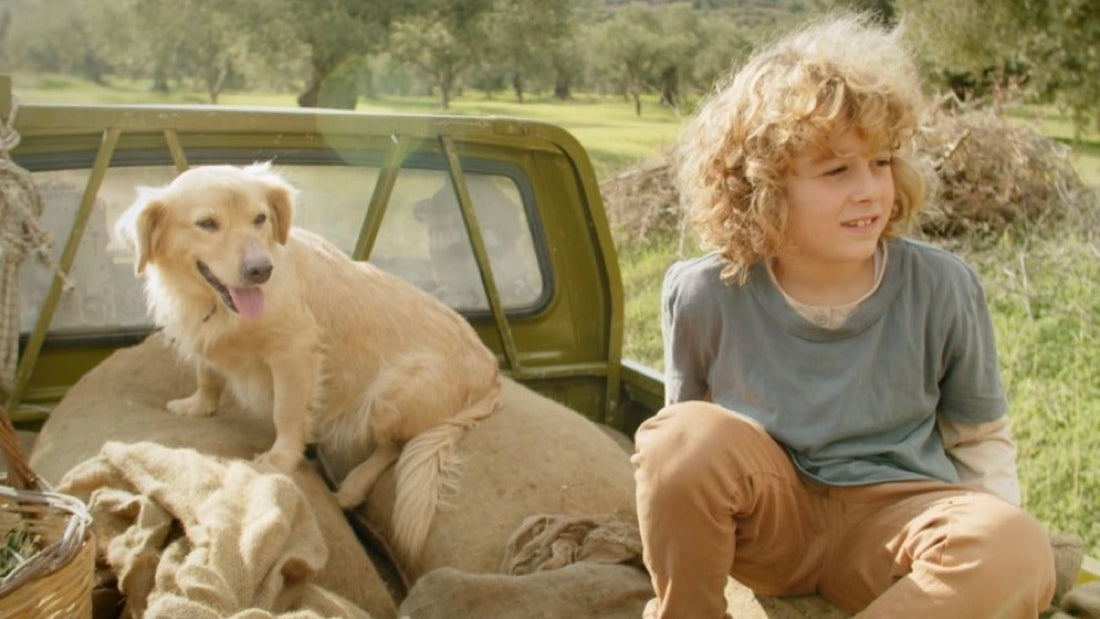 Little dog and boy sitting in the bed of a green truck with bags of freshly picked olives.