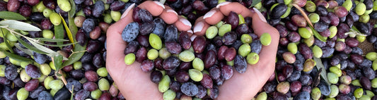 Maximize the benefits of olive oil