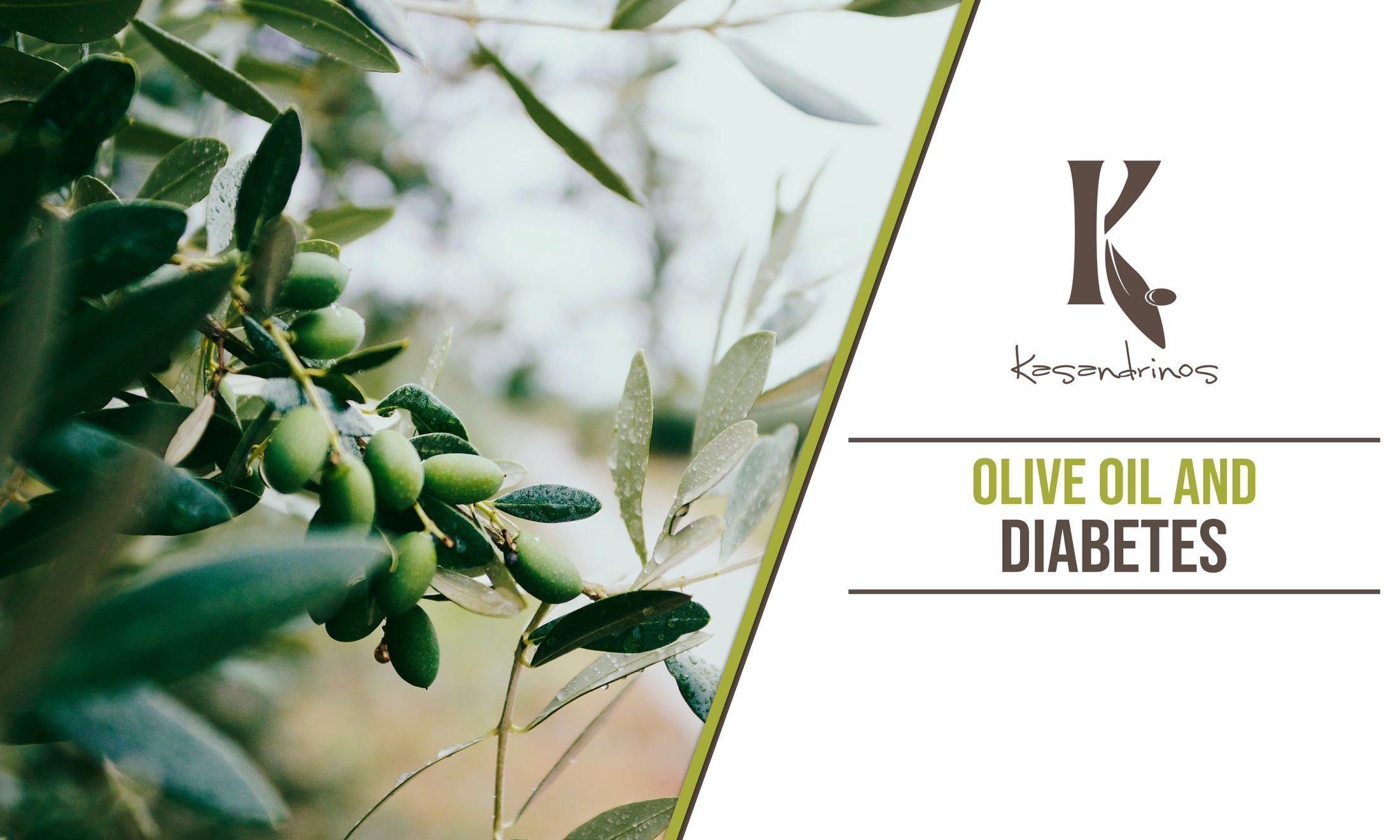 Olive Oil and Diabetes Kasandrinos International
