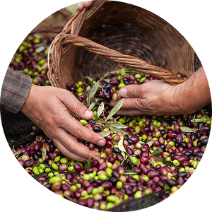 A Harvest Date, Not Just a Best-By Date